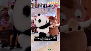 Gấu trúc hiểu lầm bạn tốt 😂😂 shorts haihuoc funny giaitri [upl. by Aniara]