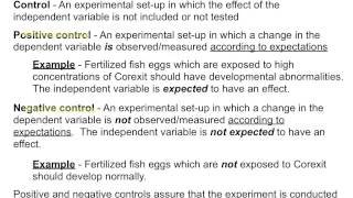 Hypotheses Variables and Controls [upl. by Viehmann]