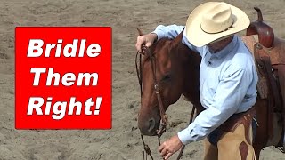 How To Bridle A Horse and Adjust The Bit Correctly  Training A Horse To Be Good To Bridle [upl. by Pucida]