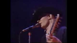 Johnny Winter  Live  Massey Hall Toronto 1983 complete show [upl. by Skantze]