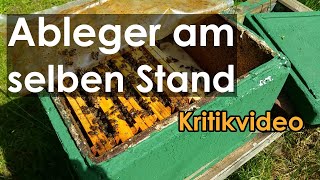 Kritikvideo Bienen Ableger am selben Stand  Glaubt Ihr diesen ImkerUnfug So macht man Ableger [upl. by Timi319]