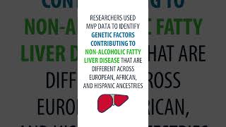 MVP Discoveries NonAlcoholic Fatty Liver Disease Findings [upl. by Jamin]