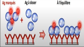 📍 Dosage radioimmunologique [upl. by Derwon]