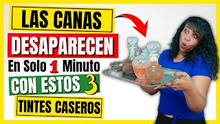 3 TINTES CASEROS para las CANAS  Como CUBRIR las Canas NATURALMENTE  Rápido y Fácil [upl. by Aniham943]