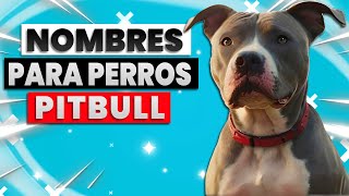 👉Top 50 Nombres Para Perros Machos Pitbull 🥇 [upl. by Soren]