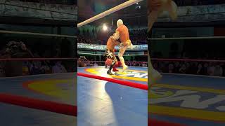 CMLL Shorts Místico [upl. by Shevlo]