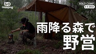 【GOGlamping】雨降る森で野営。TCパップテント ソロキャンプ最高！ [upl. by Dolores632]