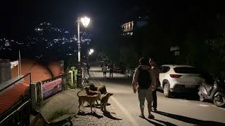 Excited hungry dogs on Mussoorie mall road [upl. by Neau]