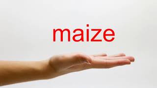 How to Pronounce maize  American English [upl. by Ycnahc]