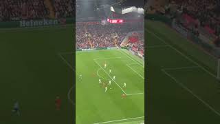 Liverpool vs Bayer Leverkusen 40  All Goals amp Highlights  UEFA Champions League 202425 [upl. by Zoltai]