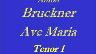 Ave Maria  Bruckner  T1wmv [upl. by Travis]