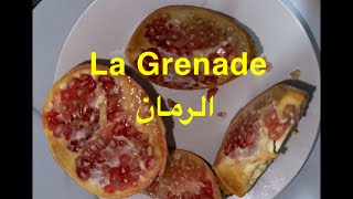 فوائد شحم الرمان المعدة، القولونGrenade estomac côlonpartie 1 [upl. by Thomas681]