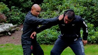 Difference between tai chi and wing chun [upl. by Eelibuj]