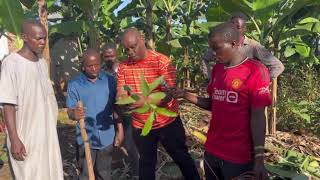 President Yoweri Museveni at Sirajis ancestral home in Kyakatebe Bukomasimbi district [upl. by Ycat]