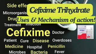 Cefixime Trihydrate Uses amp Mechanism of action cefiximetrihydrate impetigo pneumonia gonorrhea [upl. by Teena522]