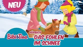 Bibi amp Tina  Das Fohlen im Schnee  Hörbuch Hörprobe [upl. by Justin]