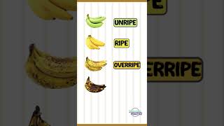 Stages of Banana In English 🍌 english banana [upl. by Rogozen876]