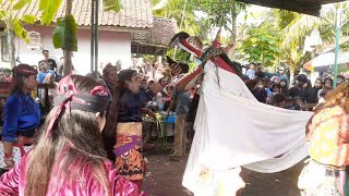 Barongan kaki Blentung makan Ayamebeg Turonggo Karyo peso bajapatimuan [upl. by Aivatahs]