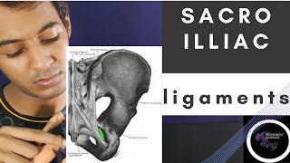 SI JOINT LIGAMENTSBIOMECHANICS OF SPINEPhysiotherapy Tutorial [upl. by Harmonie]