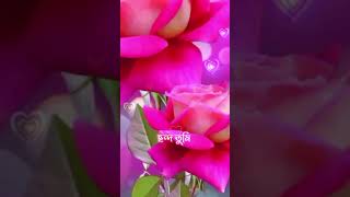 Tomay niye lekha jeno sara prithibir gan whatsapp statusviral shorts❤️🥀 [upl. by Ecyarg435]