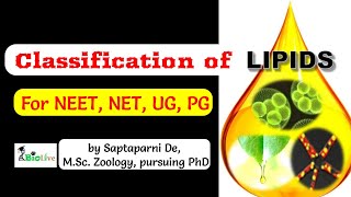 Classification of Lipids [upl. by Balcke968]