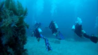 SCUBA Certification Dives in Key Largo  GoPro Hero HD [upl. by Cynarra]