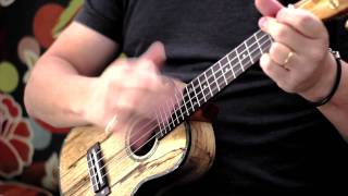 The Ukulele Song by Mark Dawson for Lanikai Ukuleles [upl. by Elirpa836]