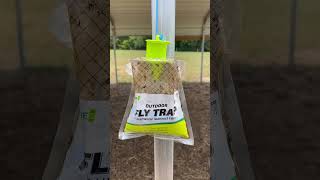 Fly Traps for horses percherons farming barn [upl. by Stranger]