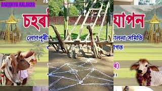 চহৰাই পৰৱ উদযাপন [upl. by Eleaffar556]