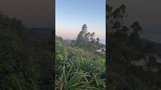 Unbelievable Beauty of Heaven youtubeshorts shortvideo shorts nature sea [upl. by Coumas]