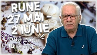 Horoscop rune 27 mai  2 iunie 2024 Mihai Voropchievici Racii îl au pe WUNJO [upl. by Calva]