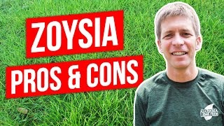 Zoysia Grass Lawn Pros Cons and Tips [upl. by Hadik]