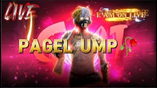 Pagel Ump On Live Free Fire Max [upl. by Nnyliak372]