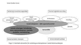 Nonverbale lærevansker [upl. by Eolc]