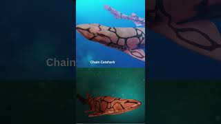 Weirdest Sharks Youve Never Seen [upl. by Anirbaz]