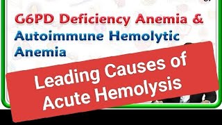 Leading Causes of Pediatric Acute Hemolysis [upl. by Jolda]