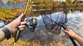 CHEAP AND EASY Carp Fishing  How to Catch CARP [upl. by Ayekram950]