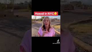 Hawaii in NYC shortvideo [upl. by Hafler232]