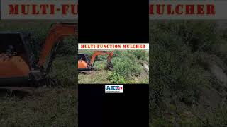 Ultimate MultiFunction Mulcher for a Perfect Lawn forestry mulchingsolutions forestryequipment [upl. by Lennard940]