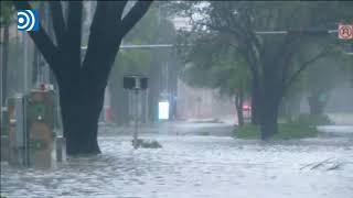 Así se vivió el paso del huracán Irma en Miami [upl. by Teerell]