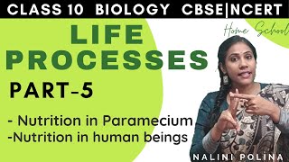 Life Processes class 10  Nutrition  Biology Part5 [upl. by Brittain]