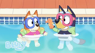 Las aventuras soleadas de Bluey ☀️  Episodios completos  Bluey 💙 Español Canal Oficial 🇪🇸 [upl. by Cassy679]