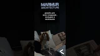 MARMUR  ДИЗАЙН amp АРХИТЕКТУРА 🏛️ дизайн интерьер дизайнинтерьера москва питомец собака [upl. by Adnilahs]