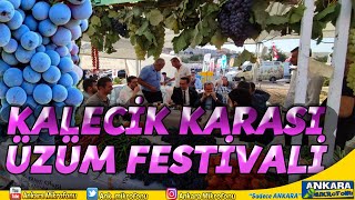 KALECİK KARASI FESTİVALİ  KALECİK  ANKARA ETKİNLİK REHBERİ [upl. by Aihsyla]