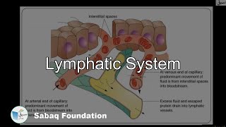 Lymphatic System Biology Lecture  Sabaqpk [upl. by Sedgewick]