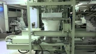 Newlong M Sdn Bhd Auto Bagging Machine Model 3CM6CP4900DS9C [upl. by Oicapot681]