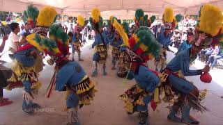 Danza Tipica de Mexico desde Buenavista Tepetongo [upl. by Akinahc]