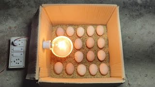 Incubator for chicken eggs  How to hatch a chicken egg at home [upl. by Chrystel]