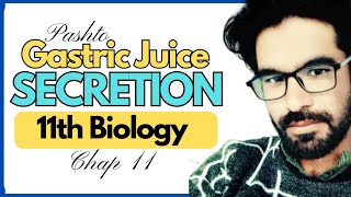 Mechanism Of Secretion Of Gastric Juice  Class 11th Biology [upl. by Nilra151]