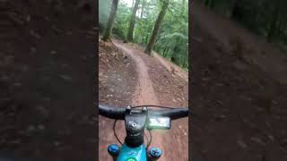 Yeti in the woods bike mtb yeti mtbgirl [upl. by Adniles]